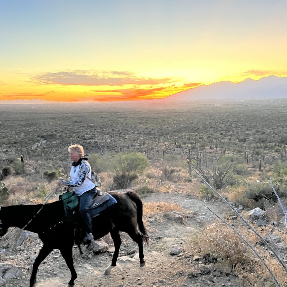 TOP 10 BEST Dude Ranch in Tucson, AZ - Updated 2026 - Yelp