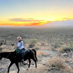 The Rockin' Star Ranch