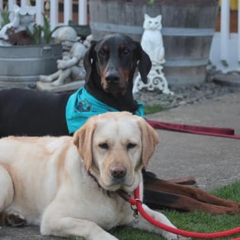 Animal Medical - Veterinarians Near Me - Vancouver, Washington Animal Medical - Veterinarians Near Me - Vancouver, Washington