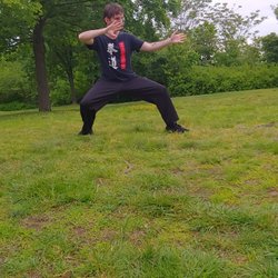 Horizontal rollback