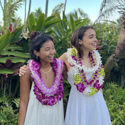 Hawaii Flower Lei