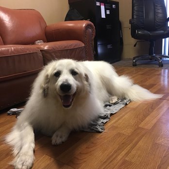 Lisa's Pet Styles - Pet Groomers Near Me - Turlock, California Lisa's Pet Styles - Pet Groomers Near Me - Turlock, California
