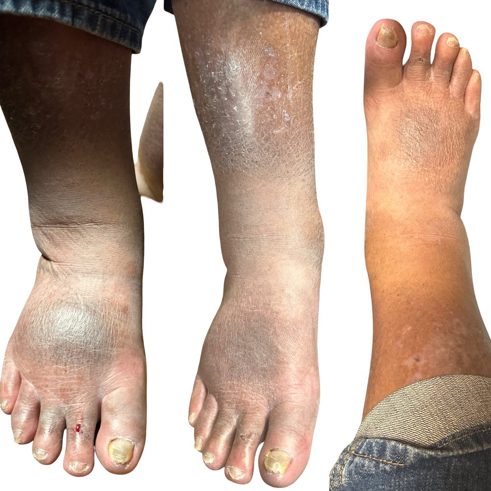 Elysian Contours Wellness and Recovery Logo