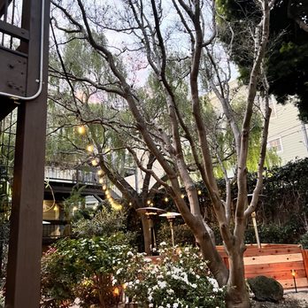 Arbor - Patio seating with pleasant lighting at night. - Burgers Near Me - San Francisco, California Arbor - Patio seating with pleasant lighting at night. - Burgers Near Me - San Francisco, California