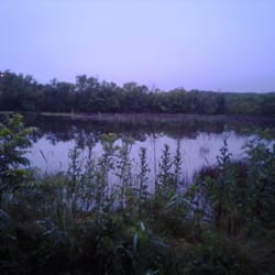 Quanah Parker Park - The ephemeral pond, full,, usually a pond of dried grass.
