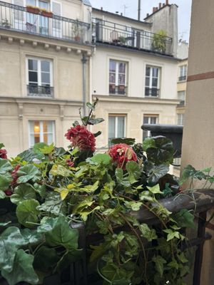 Hôtel Dupond-Smith by null