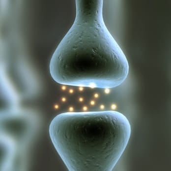 Pro Neuro Medical Group - We make sure neurons are firing properly so clients perform optimally! - Chiropractors Near Me - Flower Mound, Texas Pro Neuro Medical Group - We make sure neurons are firing properly so clients perform optimally! - Chiropractors Near Me - Flower Mound, Texas