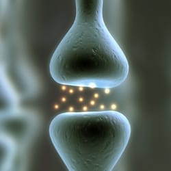 Pro Neuro Medical Group - We make sure neurons are firing properly so clients perform optimally!