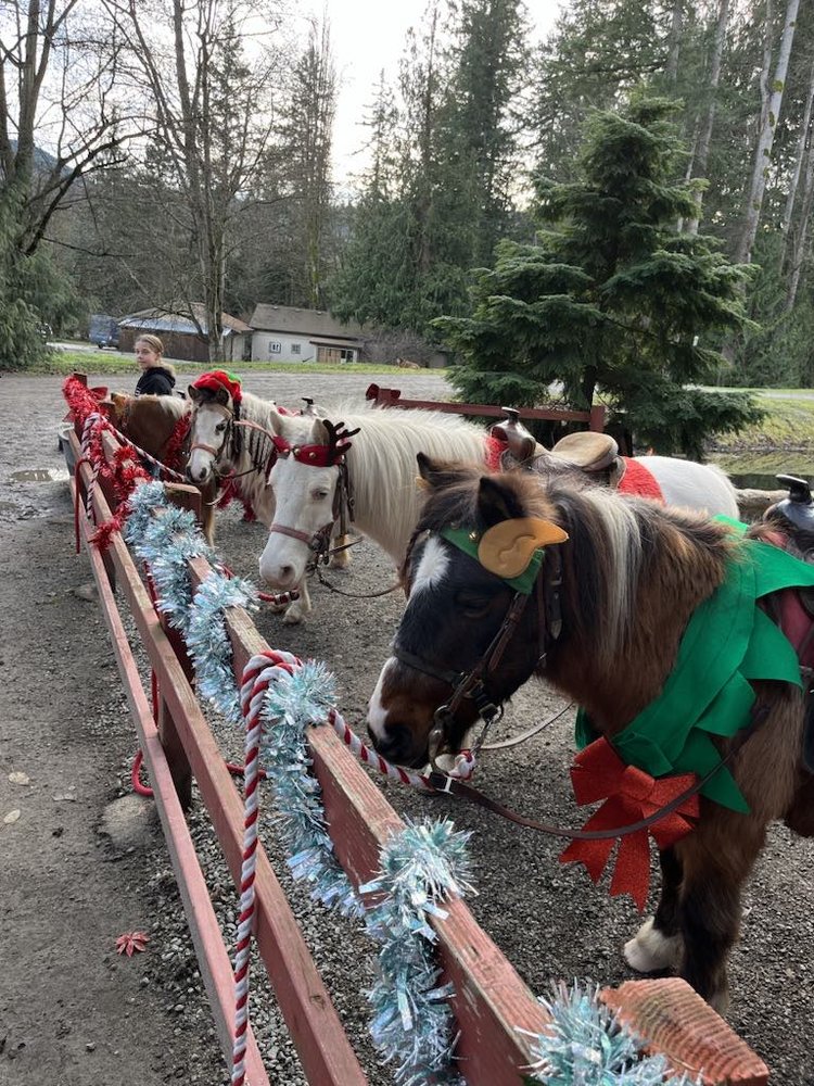 Lang's Horse & Pony Farm Logo