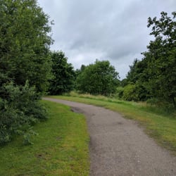 Lise-Meitner-Park