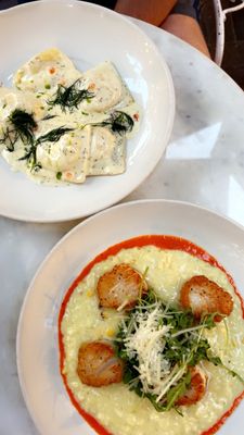 Café Terigo by null