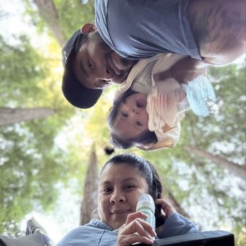 Big Sur Campground and Cabins - Campgrounds Near Me - Big Sur, California