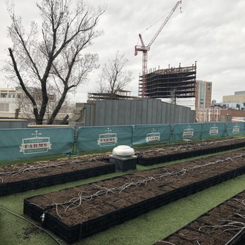Fenway Park - The back of the original Fenway park sign and the garden they have planted on top of the original rooftop. - Stadiums & Arenas Near Me - Boston, Massachusetts