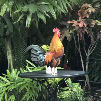 Old Town Manor - Colorful alarm clock. Alarm cock? - Bed & Breakfast Near Me - Key West, Florida