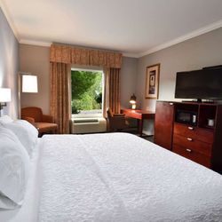 Hampton Inn Alexander City - Guest room
