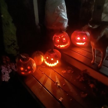 Toozy Patza Pizza - Pumpkin carving success! Happy Halloween - Pizza Near Me - Wilton, Connecticut Toozy Patza Pizza - Pumpkin carving success! Happy Halloween - Pizza Near Me - Wilton, Connecticut