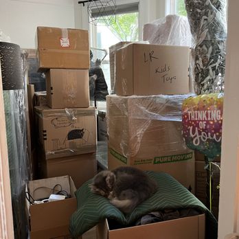 Pure Moving Company - Happy kitty thanks to Dennis and team who were very thoughtful about not letting my cats outside! - Movers Near Me - San Francisco, California Pure Moving Company - Happy kitty thanks to Dennis and team who were very thoughtful about not letting my cats outside! - Movers Near Me - San Francisco, California