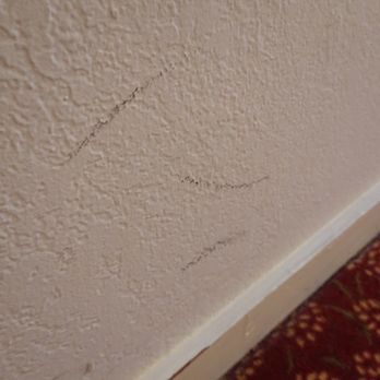 Centrella Hotel - Dirty/scuffed walls - Hotels Near Me - Pacific Grove, California