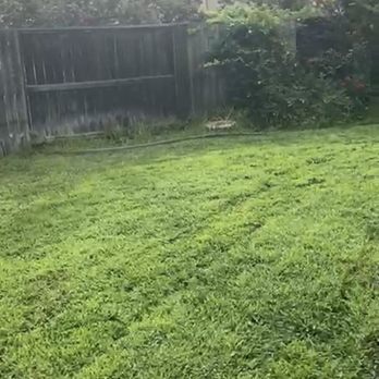 Nick's Landscaping - Before Nick - Landscaping Near Me - Stockton, California Nick's Landscaping - Before Nick - Landscaping Near Me - Stockton, California