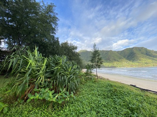 Kahana Bay Beach Park by null