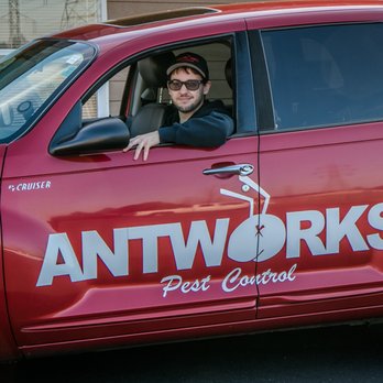 Antworks Pest Control - Pest Control Near Me - Beaverton, Oregon