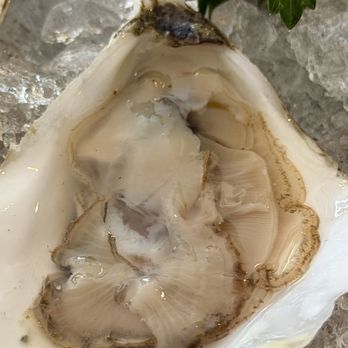 Galyn's - Seafood Near Me - Bar Harbor, Maine Galyn's - Seafood Near Me - Bar Harbor, Maine