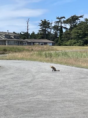 San Juan Island NHP, American Camp Visitor Center by null