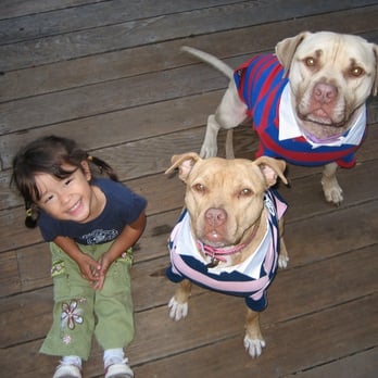 Bad Rap - Makayla, Ru, and Bailey - Animal Shelters Near Me Bad Rap - Makayla, Ru, and Bailey - Animal Shelters Near Me