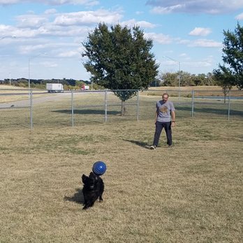 Oklahoma Information Center - Happy girl with her favorite object. - Dog Parks Near Me - Erick, Oklahoma Oklahoma Information Center - Happy girl with her favorite object. - Dog Parks Near Me - Erick, Oklahoma