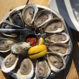 Yummy oysters Yummy oysters