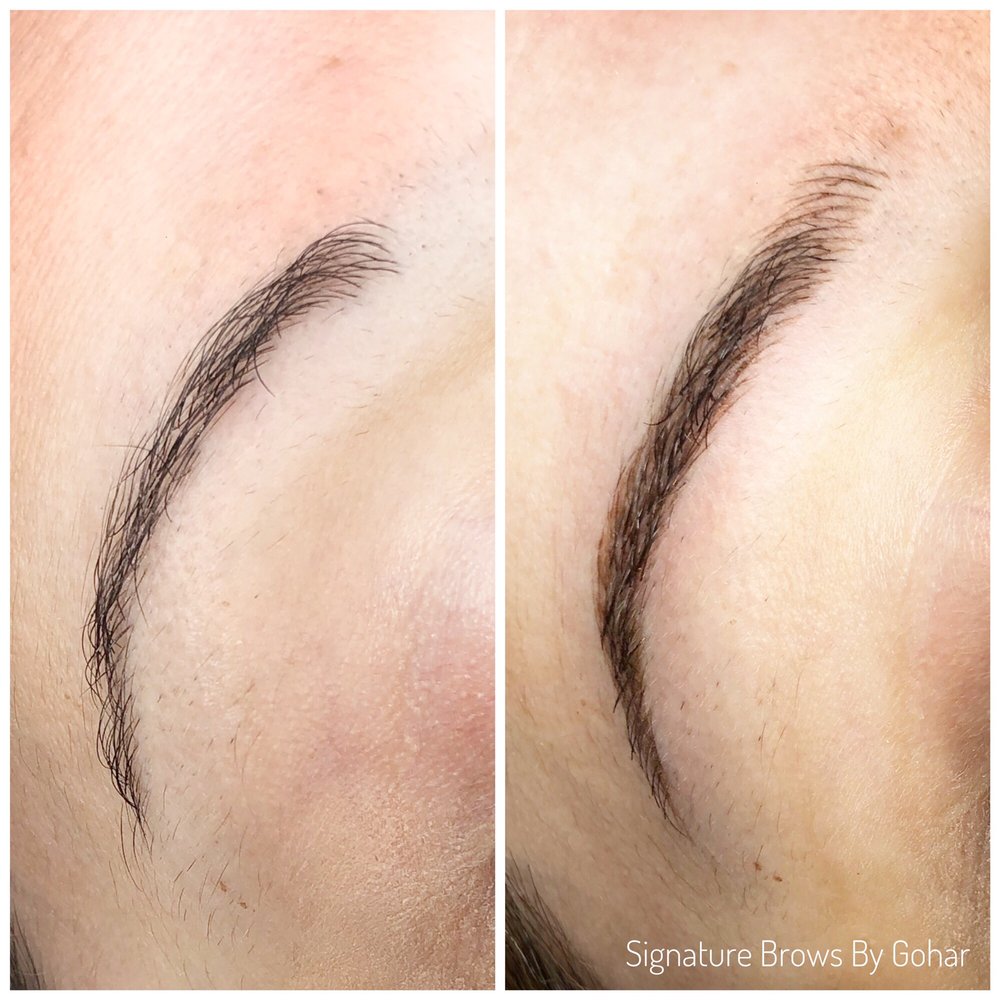 SIGNATURE BROWS BY GOHAR 11 Photos 5065 Hollywood Blvd, Los Angeles