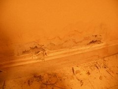 Slide of Services Squad