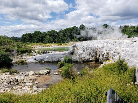 Te Puia - Rotorua, NZ by null