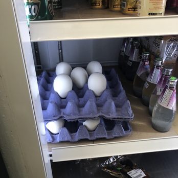Thai An Oriental Market - Goose eggs ($12.00 each......) - Imported Food Near Me - Hollywood, Florida Thai An Oriental Market - Goose eggs ($12.00 each......) - Imported Food Near Me - Hollywood, Florida