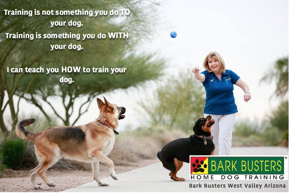 BARK BUSTERS HOME DOG TRAINING PHOENIXGOODYEAR Updated September