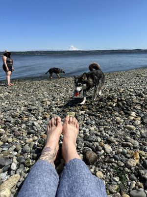 Point Robinson Lighthouse by null
