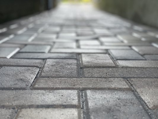 Landscaping Solutions