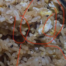 egg fried rice still can feel the hairs in our throats gonna throw up egg fried rice still can feel the hairs in our throats gonna throw up