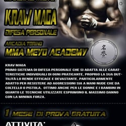 Dojo Torino Arcadia Mma Meiyo Academy