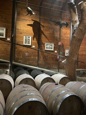 Bruma Valle de Guadalupe by null