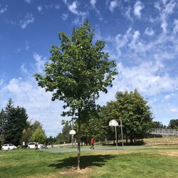Thomas Teasdale Park - Lots of space to walk / picnic