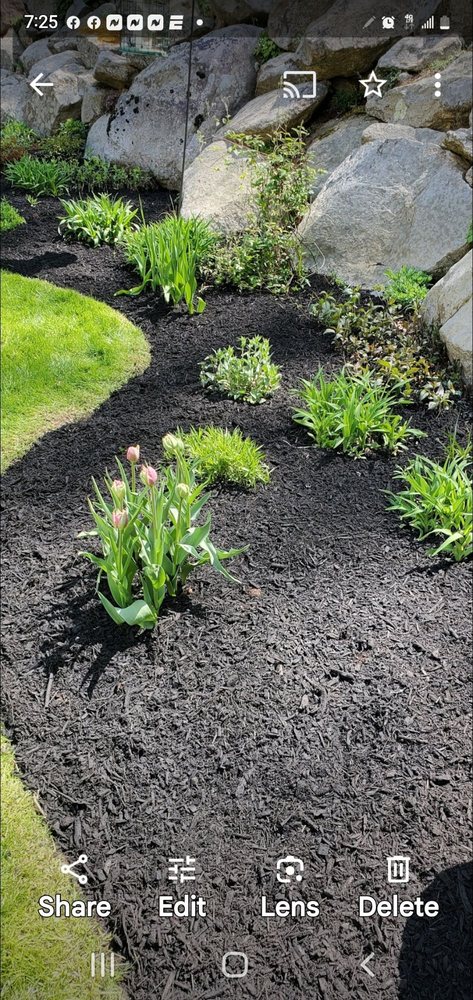 Gary Hadden Landscaping - tree service in Secane, PA