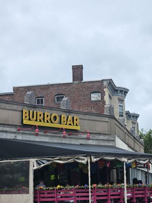 Painted Burro Brookline by null