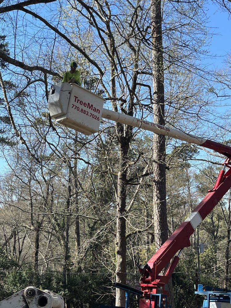 TREEMAN Updated April 2024 15 Photos 103 Juniper Ln, Athens