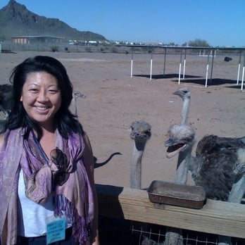 Rooster Cogburn Ostrich Ranch - Is it trying to eat me? - Petting Zoos Near Me - Picacho, Arizona Rooster Cogburn Ostrich Ranch - Is it trying to eat me? - Petting Zoos Near Me - Picacho, Arizona