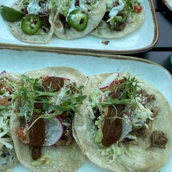 Paloma - Mexican Near Me - Shaker Heights, Ohio