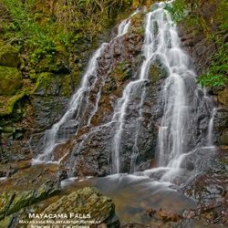 Bella Luna Mountaintop Retreat - Waterfall at Bella Luna Retreat