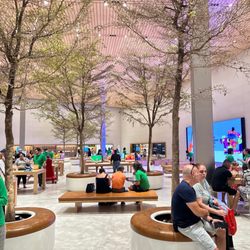 Apple Dadeland - Shopping for Apple watch