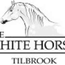 White Horse - Logo