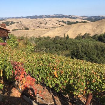 Captain Vineyards - Wineries Near Me - Moraga, California